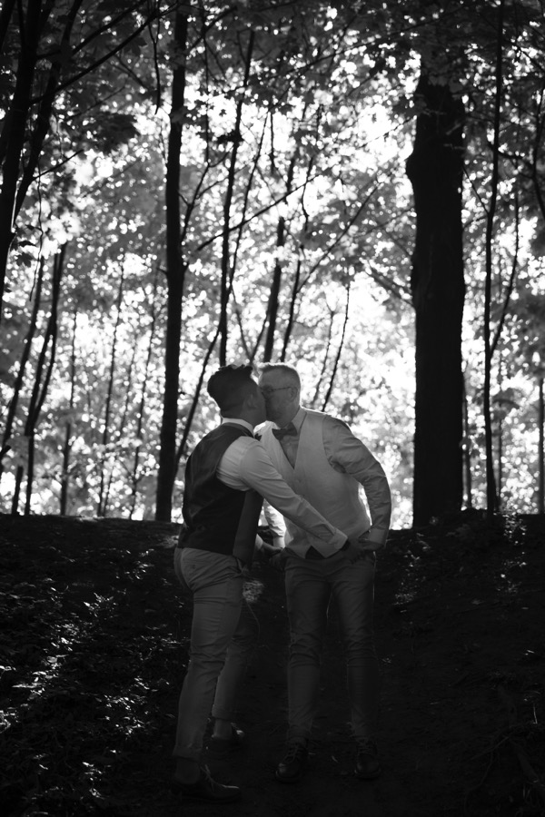 A kiss in the woods, backlit